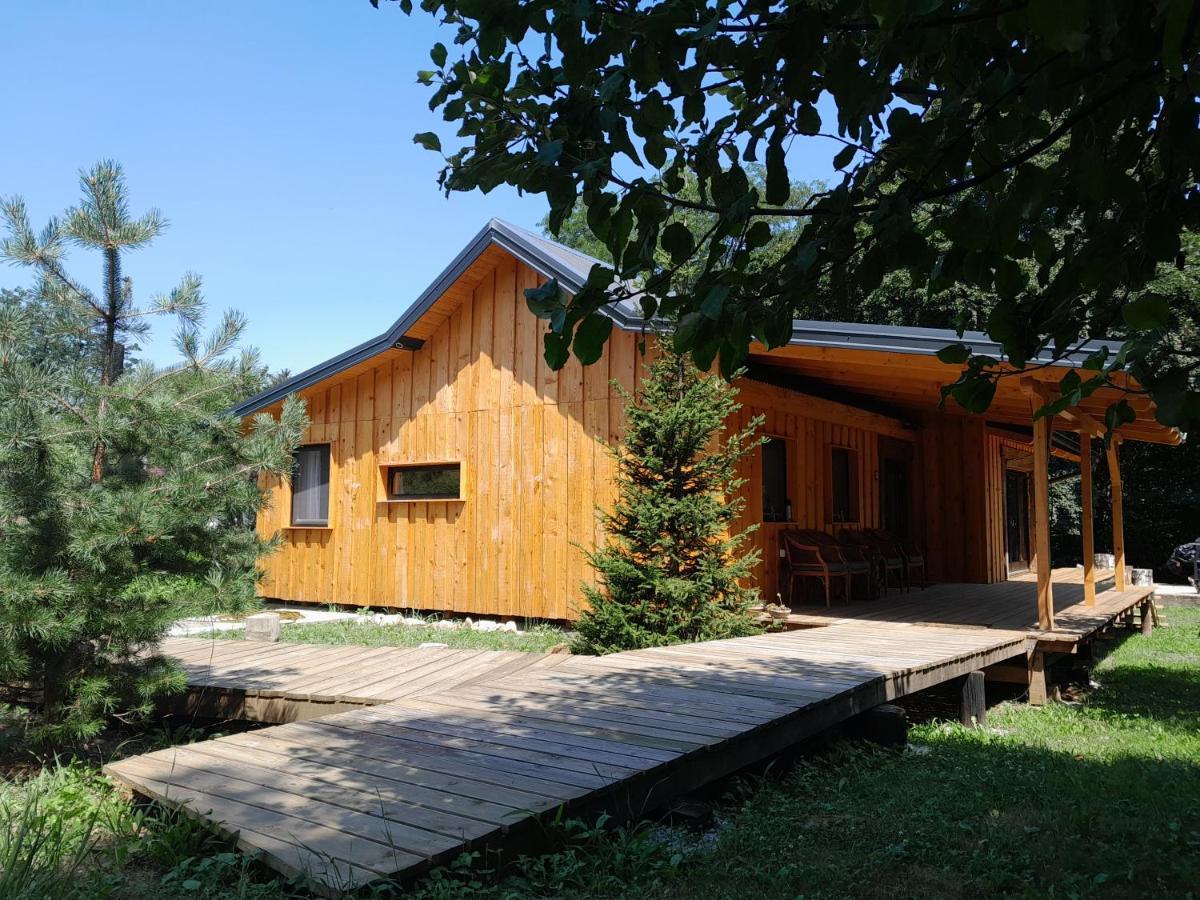 Sremska Kamenica Nica Wood 빌라 외부 사진